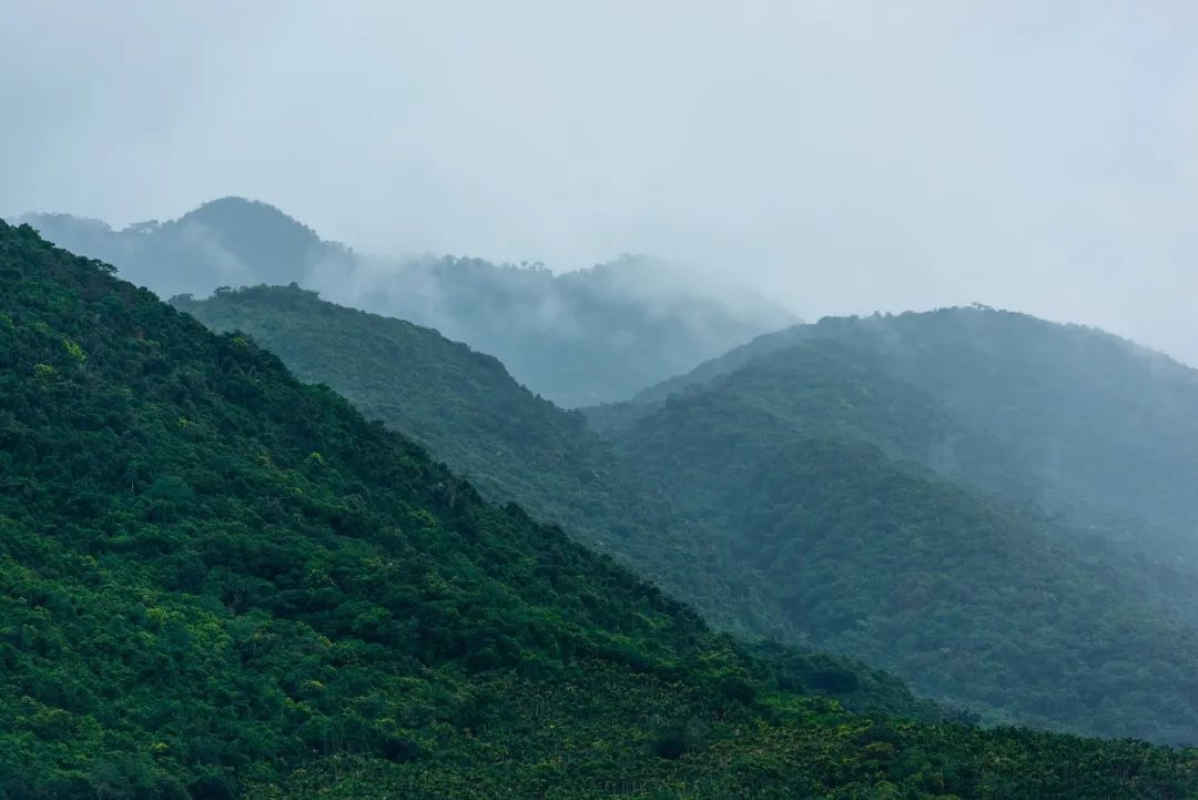 ▲ 海拔近千米的牛岭宛若一道“高墙”，使这一带的天气变化莫测，南北分化明显。摄影/童国强