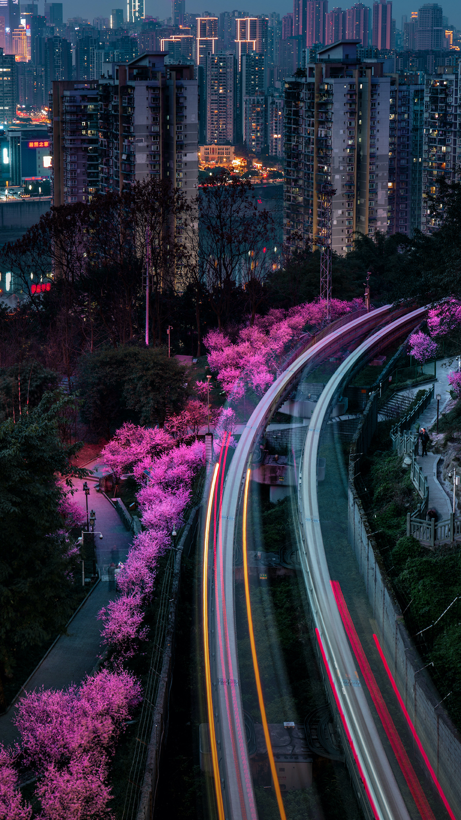 重庆佛图关，微博@留香走人 图