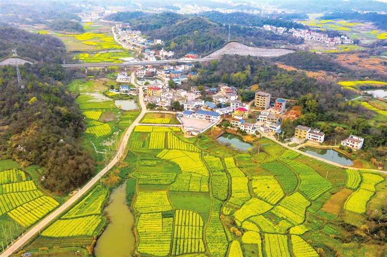 3月2日,无人机航拍的湖口县双钟镇洪湖村春景.