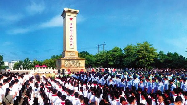 代表建议：为烈士子女提供医保全额报销