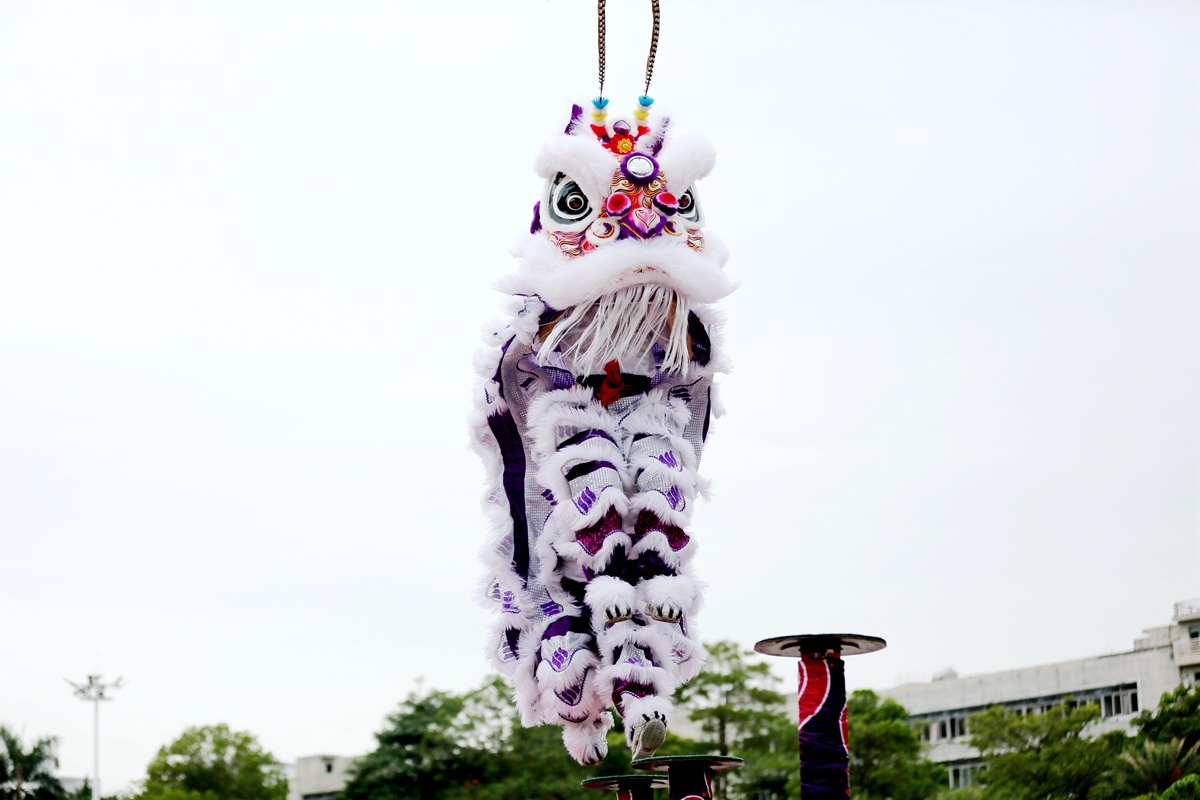 福永舞狮之乡的锣鼓格外响