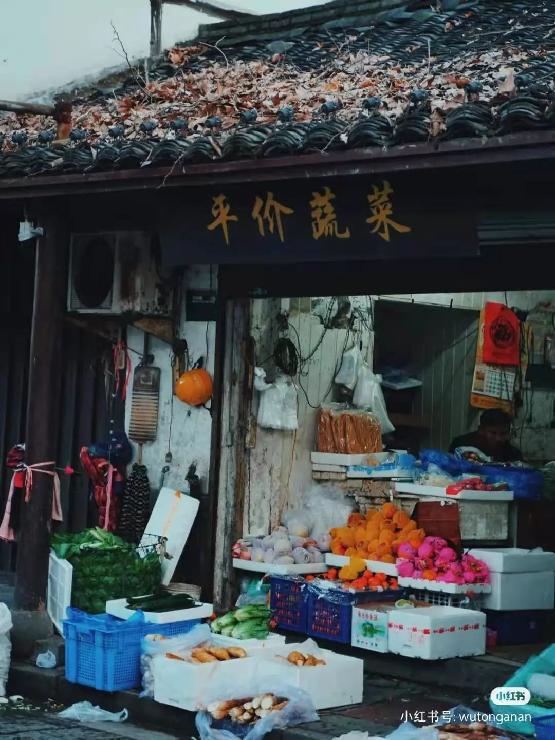 小红书@梧桐去旅行