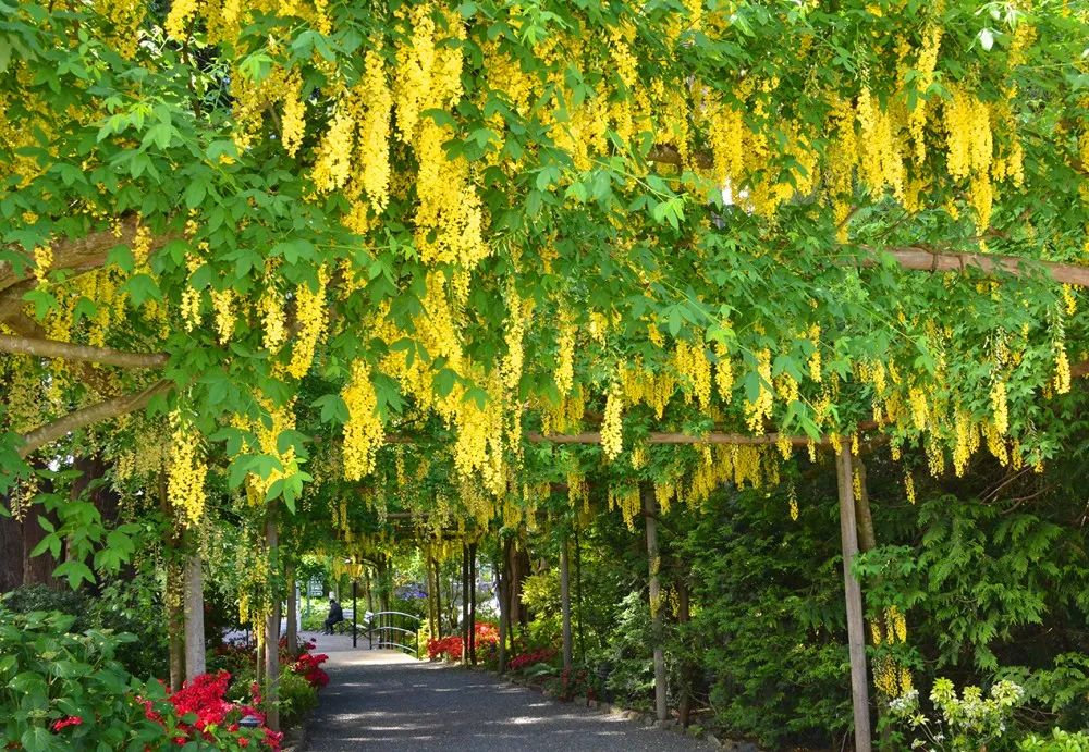 ©The Butchart Gardens