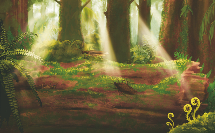 玉门鞘蠊的生态复原图 中科院南京地质古生物研究所黎家豪绘制