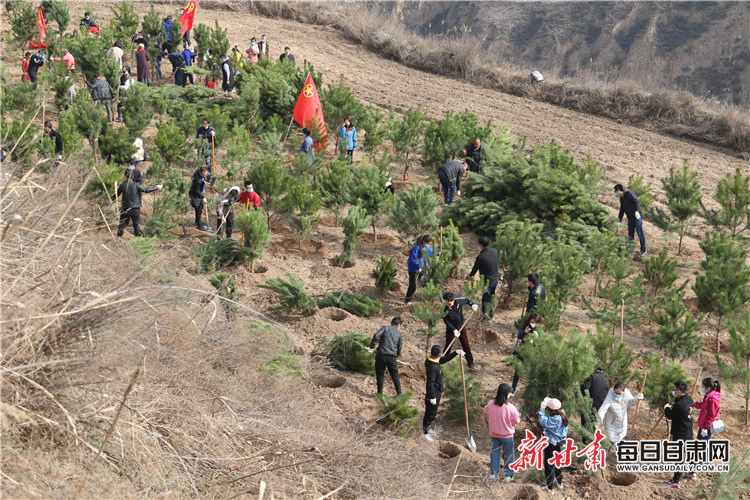 2020年3月31日,团市委在西峰区董志镇廖坳村开展“美丽庆阳·青春行动”——保护母亲河义务植树活动。雷云龙 摄