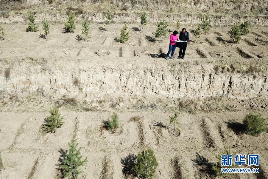 3月11日，在平凉市崆峒区白水镇焦庄村北山，张文玉（左）和同事讨论植树造林细节（无人机照片）。新华社记者 范培珅 摄