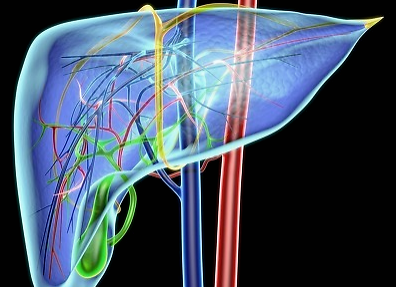 肝不好的9个表现 占2个 就要注意了 1 总是失眠 躺在床上一个小时 凤凰网