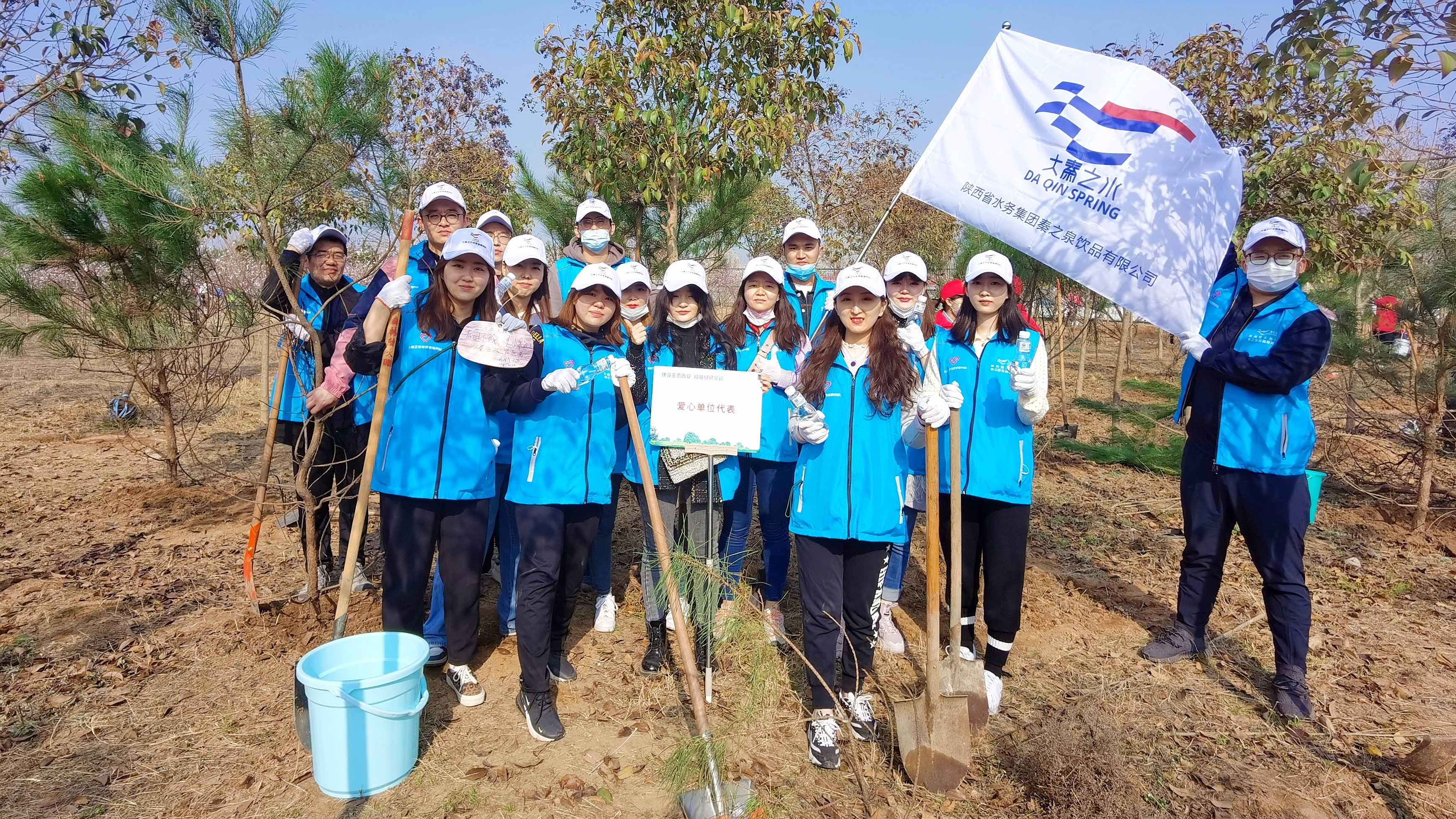 大秦之水开展公益植树造林活动