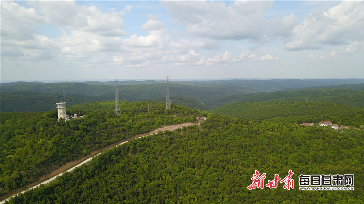 2020年5月20日,林海绵绵的合水县蒿咀铺林场。路娜 摄