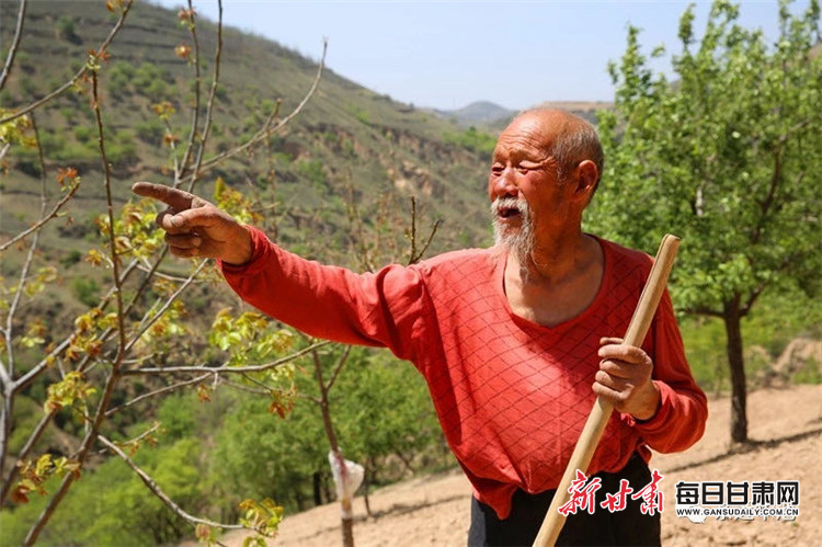 32年坚持义务植树,从无间断,在庆阳市华池县,退役军人、老党员杜克宽用自己对党的一片赤诚,化作了荒地荒坡上的五千多亩春绿。资料图片