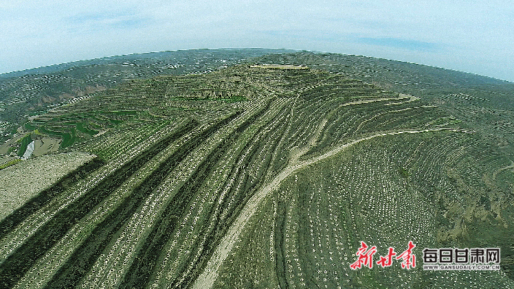 2015年7月6日,宜林荒山苗林培育工程。资料图片