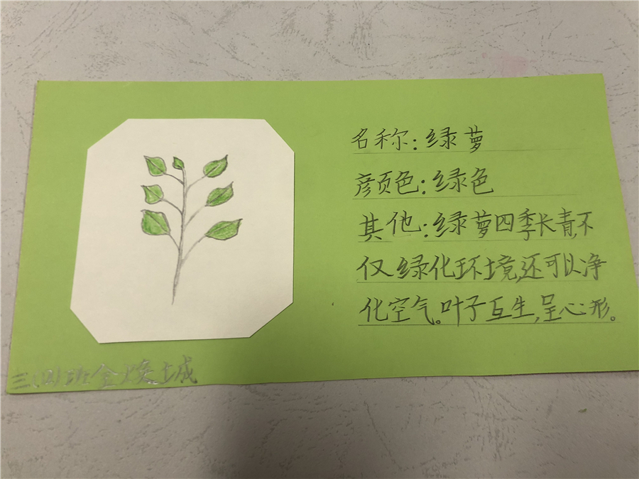 拥抱春天播种绿色宾虹小学开展植树节系列主题活动