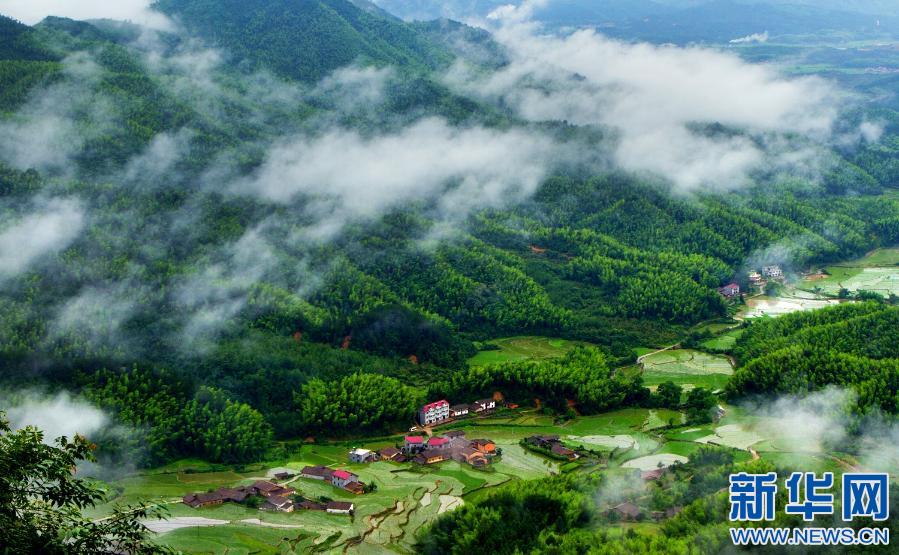图为2011年,江西抚州资溪县航拍景象.