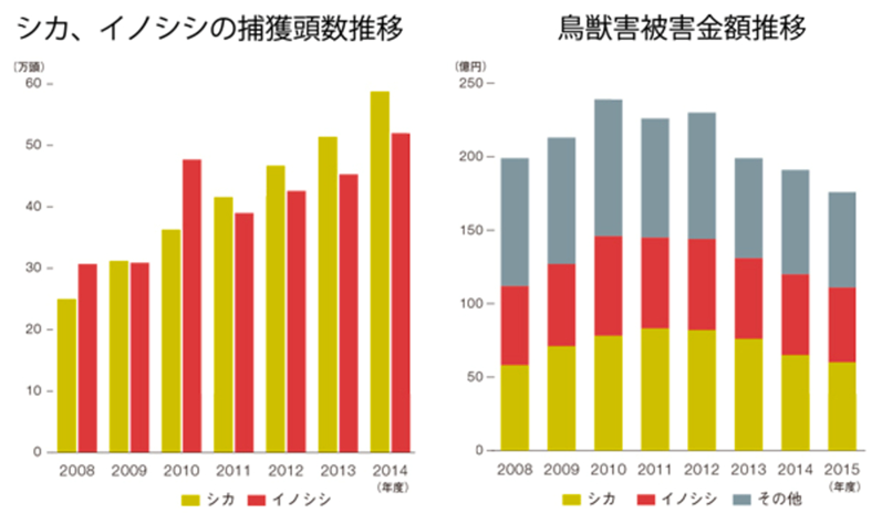 日本人也爱吃野味 凤凰网