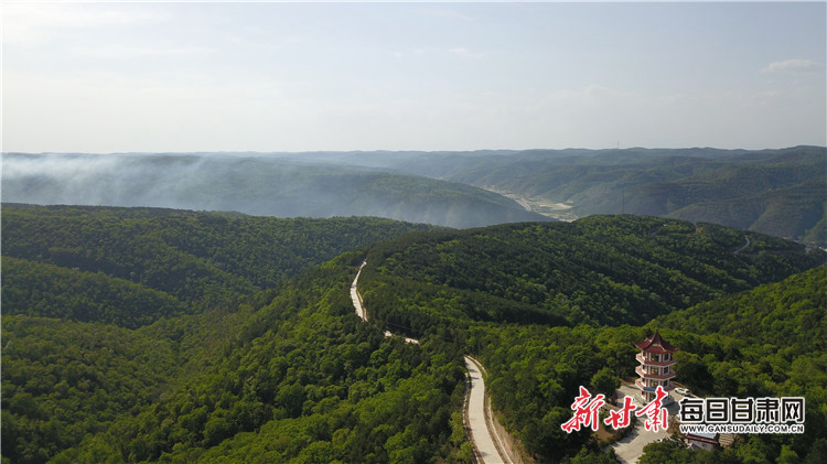 2020年5月21日,合水县连家砭林场。路娜 摄