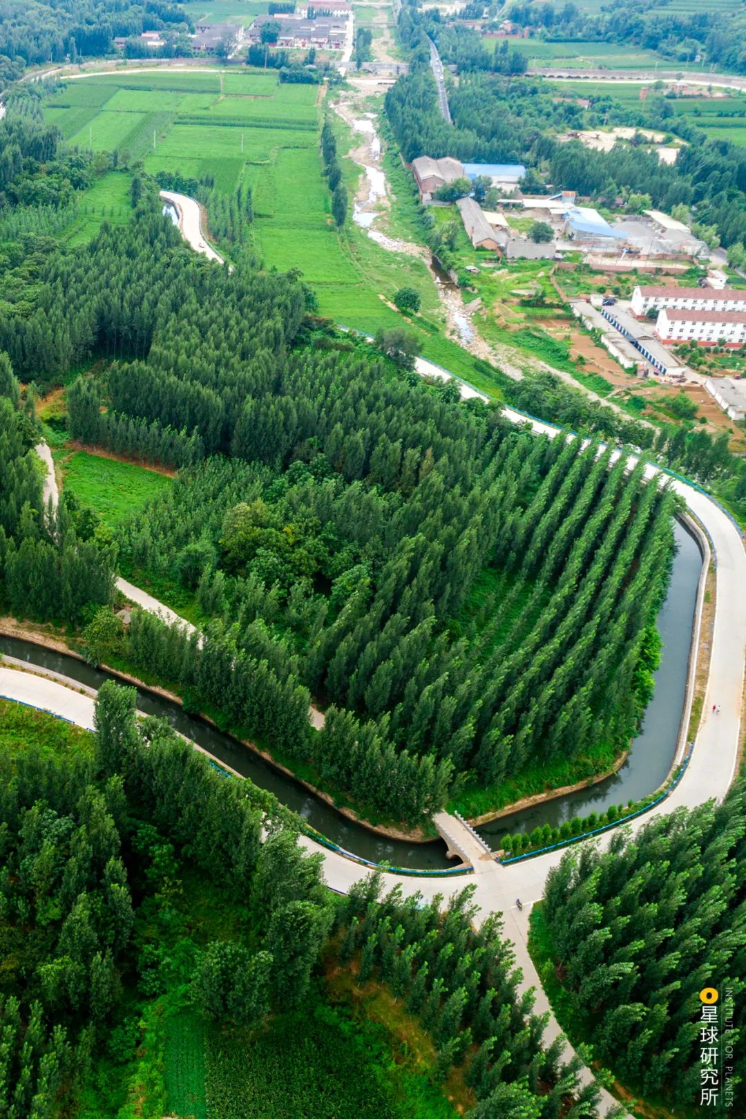 植树造林，如何改变中国？