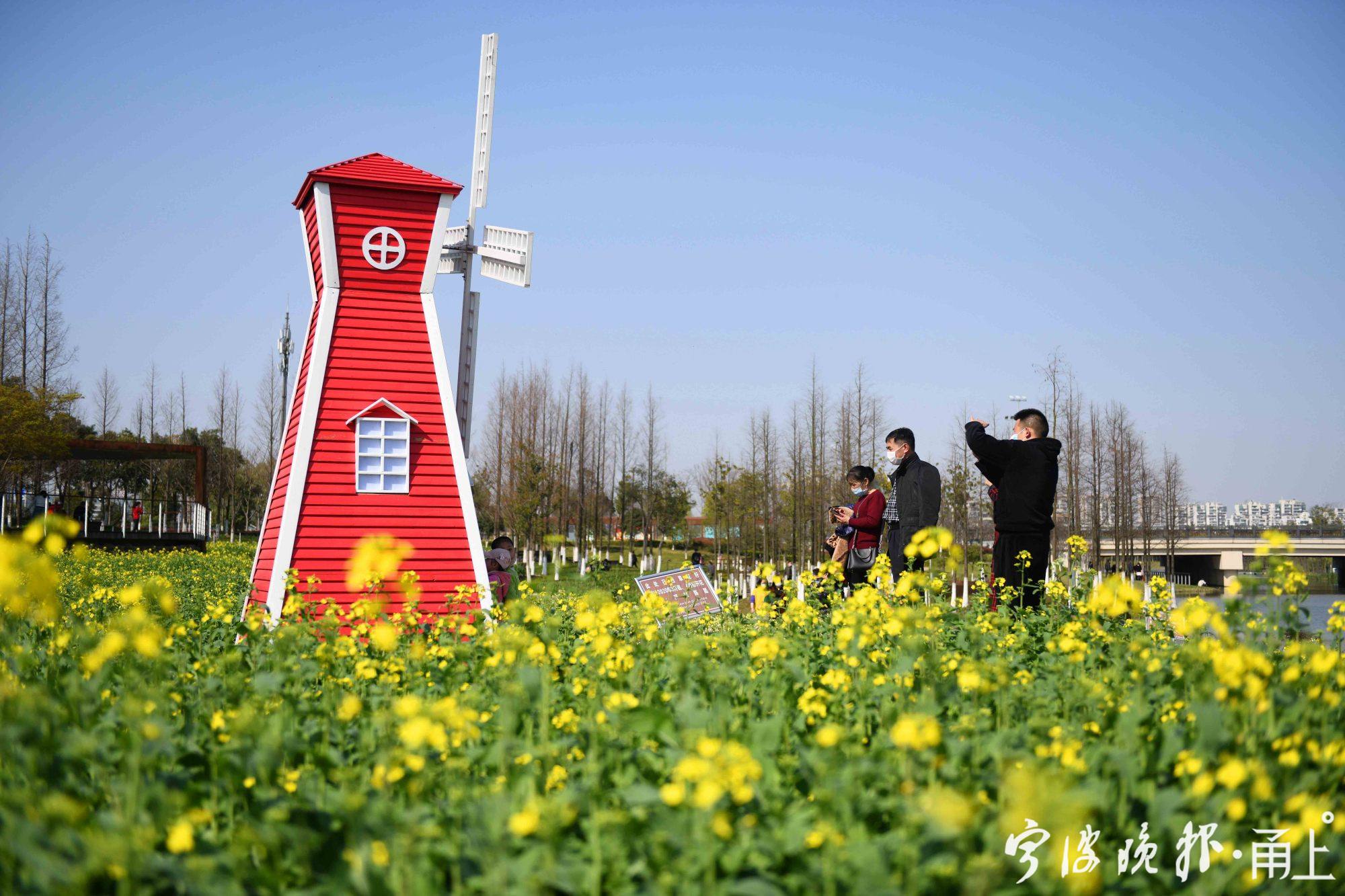 东部新城生态走廊油菜花海.jpg