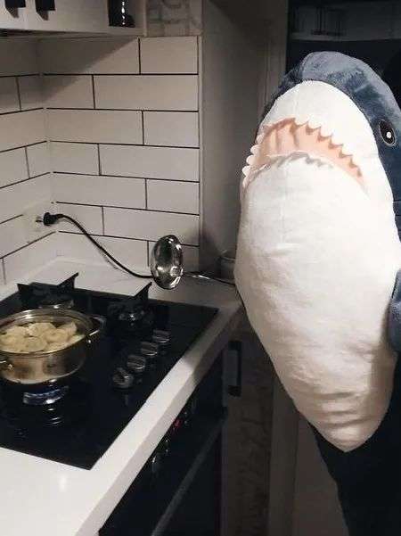 ↑社畜鲨，图源网络