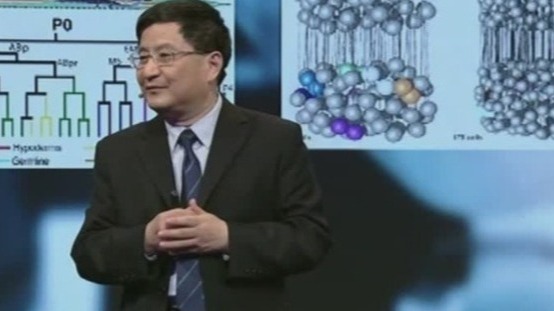 谁知道在现代的地位