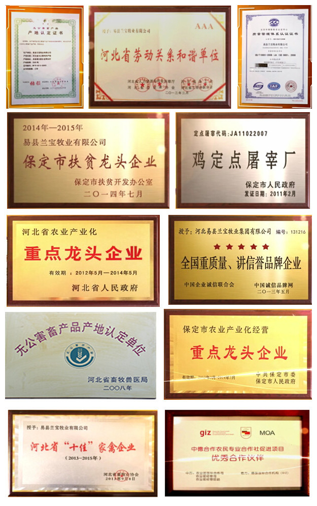 集团获得多项荣誉,为促进县域经济发展、实现乡村振兴、助力脱贫攻坚做出了积极贡献。