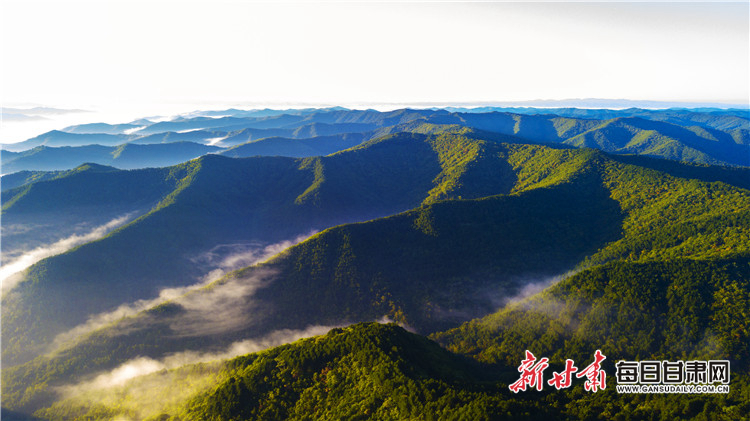 2017年9月7日,莽莽子午岭。李卿 摄