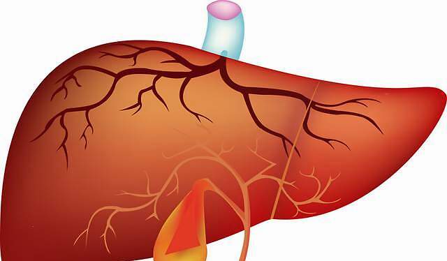 肝肿瘤的早期症状是什么 凤凰网