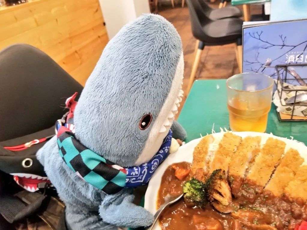 ↑“单亲妈妈鲨鱼”的生活日常