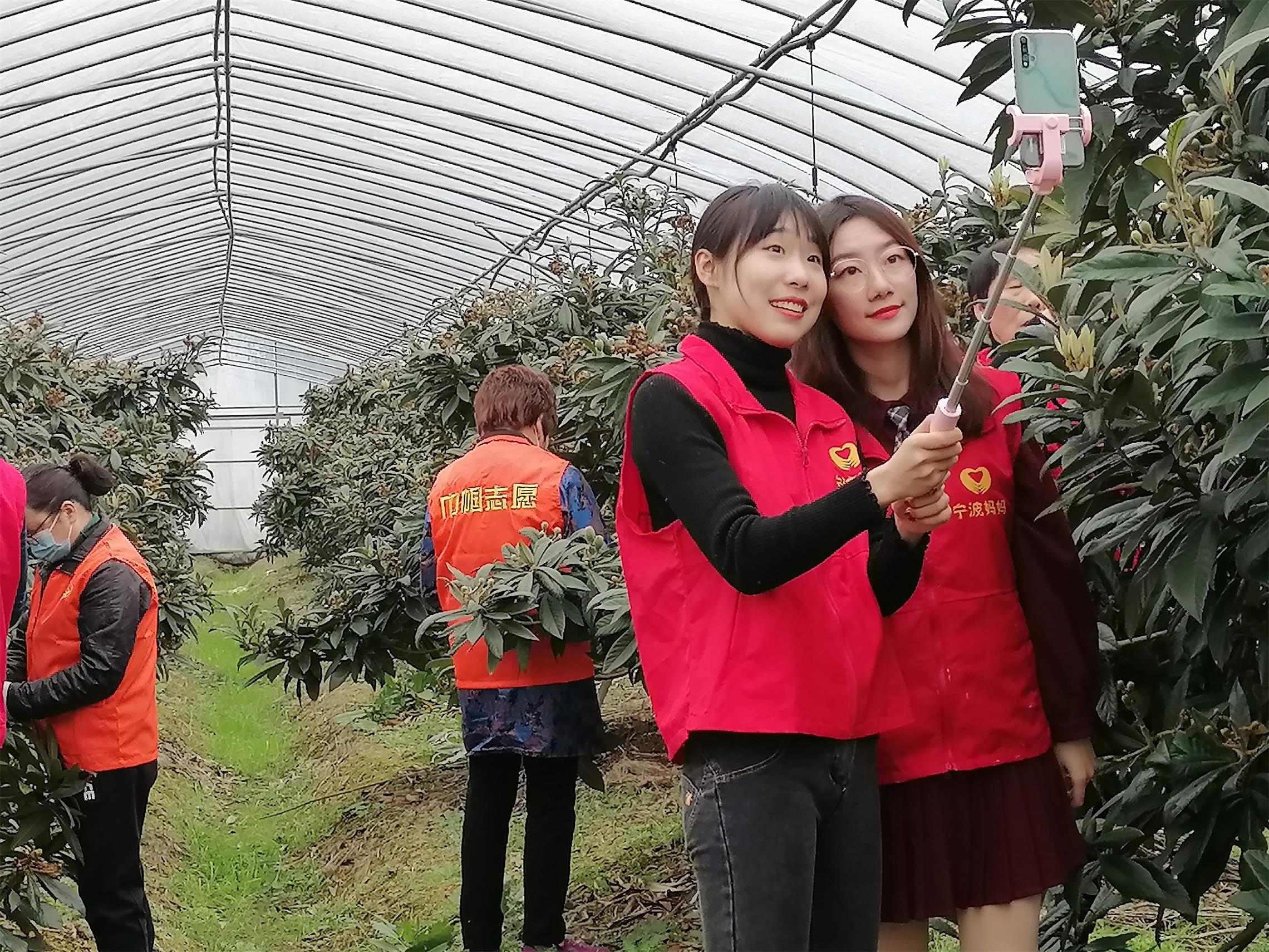 林茂华与志愿者在农场直播带货（资料图）