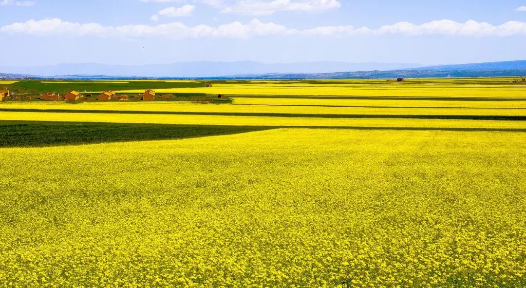 给想去甘肃的姑娘20条建议 快收藏！