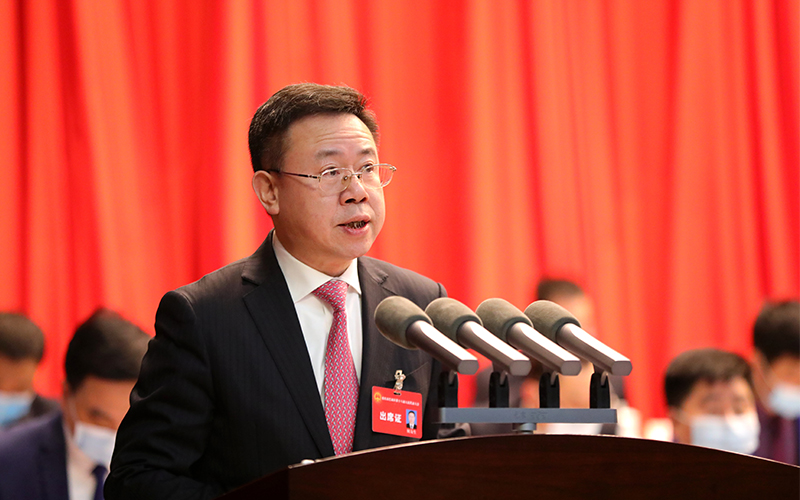 何友生作政府工作报告