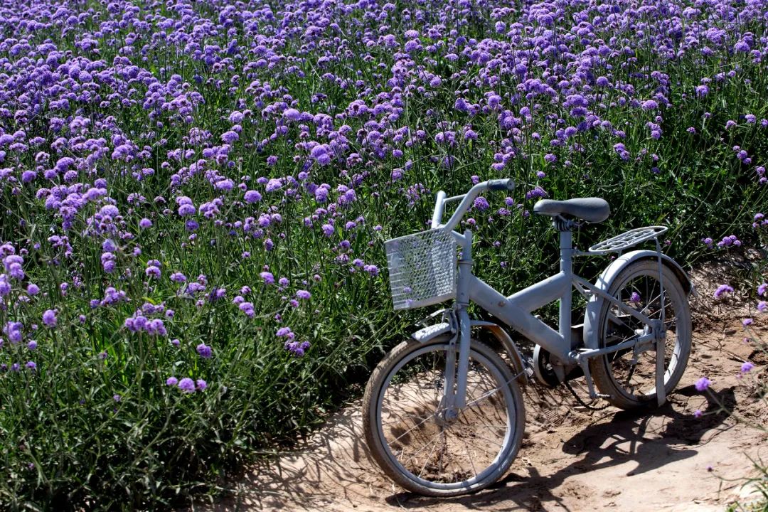 给想去甘肃的姑娘20条建议 快收藏！