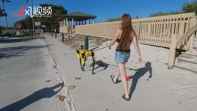 可以牵上街的机器宠物美国女子海滩遛机器狗引围观
