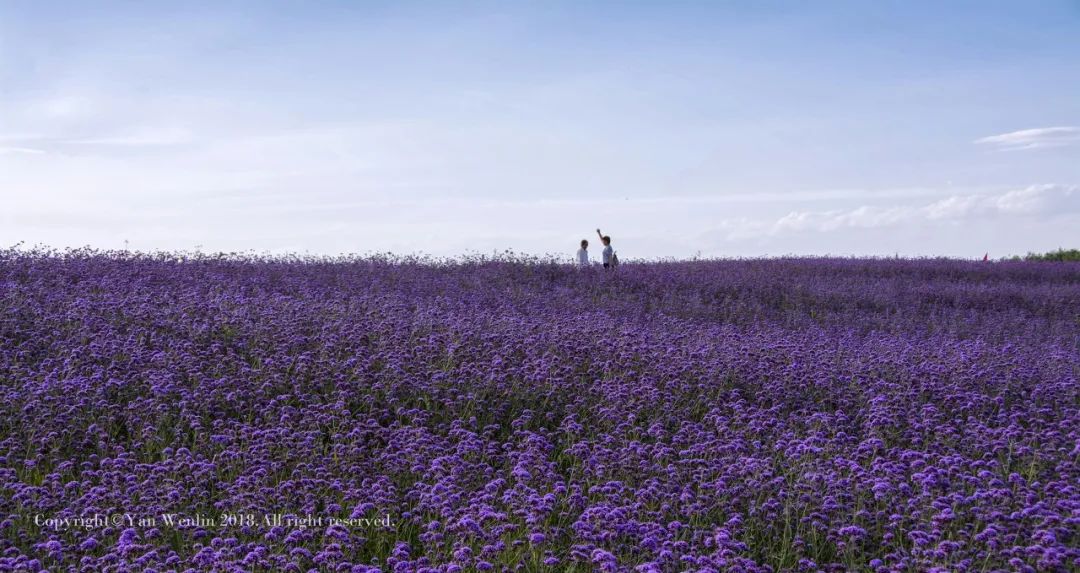 给想去甘肃的姑娘20条建议 快收藏！