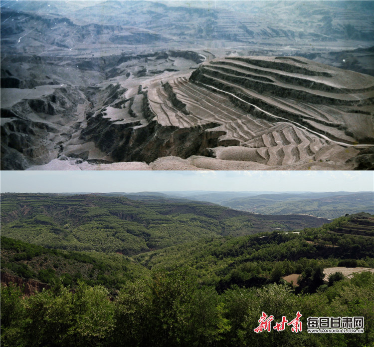 上图为1994年正宁县西坡沟流域原貌;下图为2019年正宁县西坡沟流域治理现状。秦彤华 摄