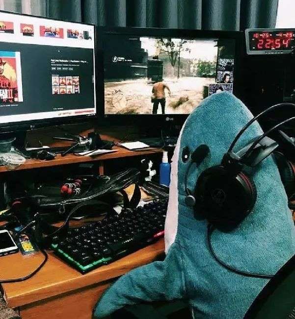 ↑来自豆瓣网友@心如蒲苇