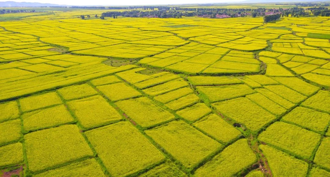 给想去甘肃的姑娘20条建议 快收藏！