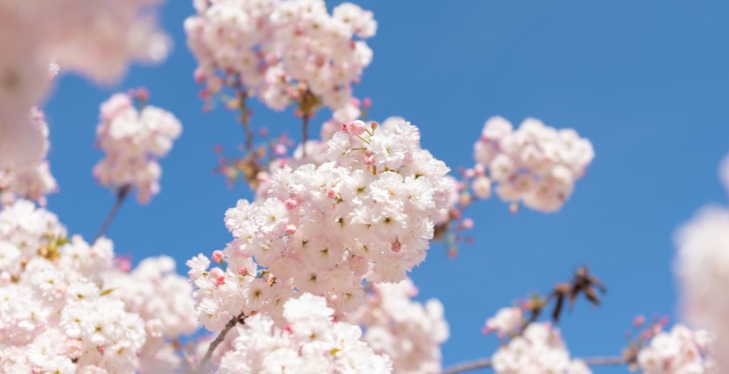 这个春天，照着这些特色路线，一起畅游市北吧