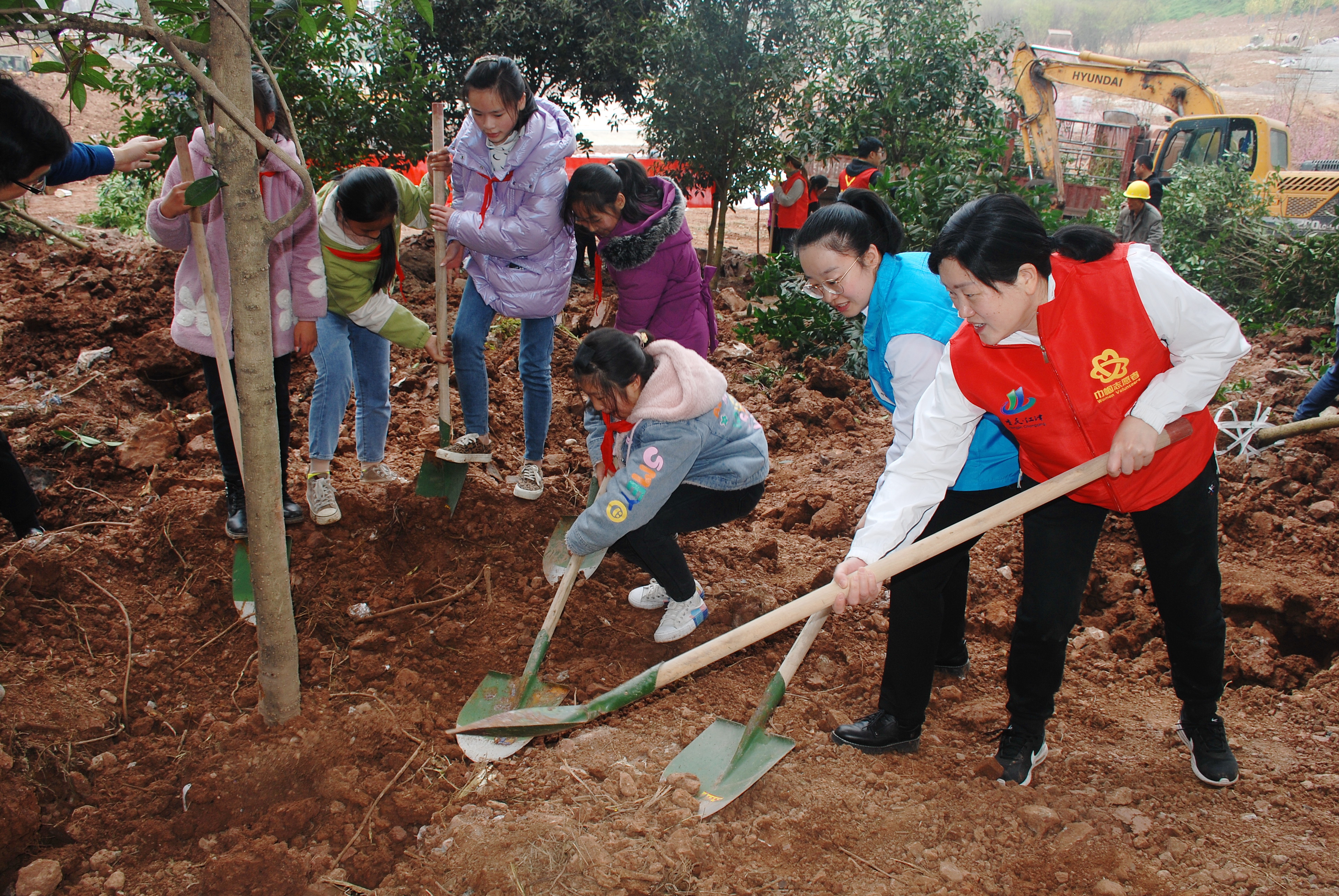 孩子们共同栽种树苗