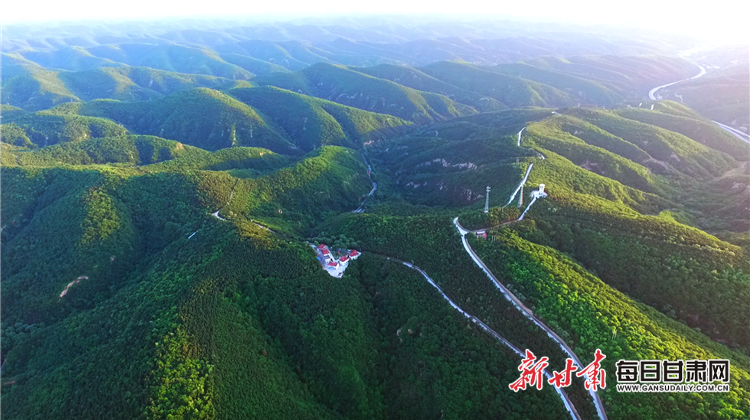 2018年8月14日,绿色子午岭。段克洋 摄