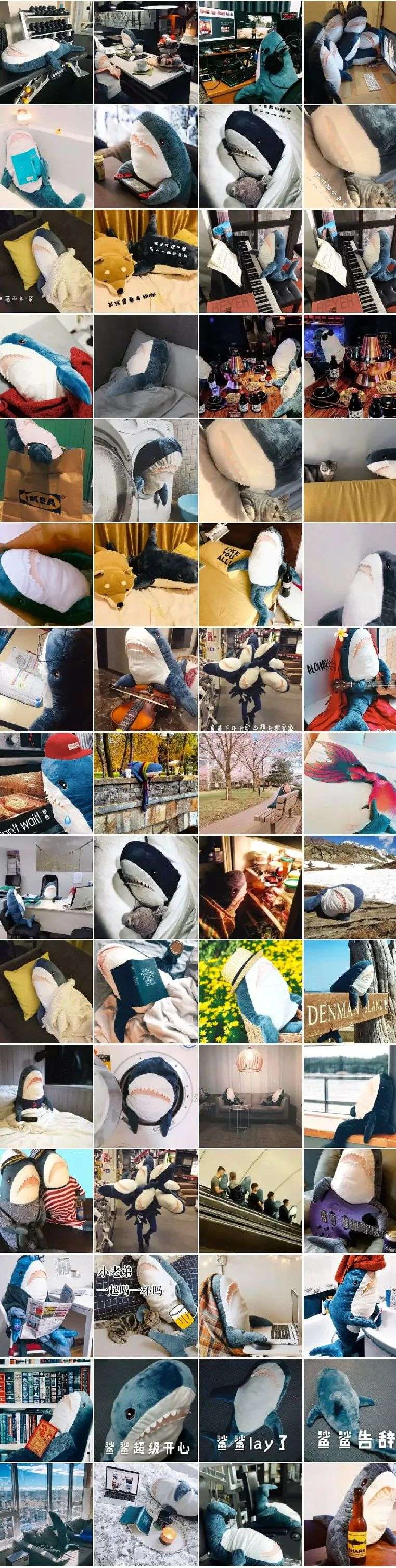 ↑来自豆瓣网友@心如蒲苇