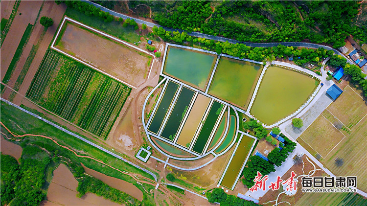 2020年5月20日,正宁县永正乡佛堂村永诚田园综合体建设点。陈飞 摄