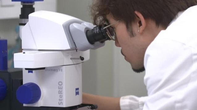 揭秘香港科学院：大湾区首个由政府起意创办的科创园区