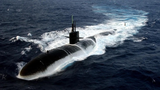 美国核动力潜艇现大量臭虫，船员抱怨：要被“生吞”了