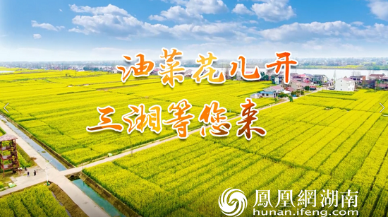 双峰县油菜花一景(李建新供图)