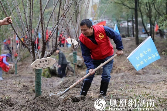 慶建黨100週年南嶽衡山景區舉行植樹公益活動