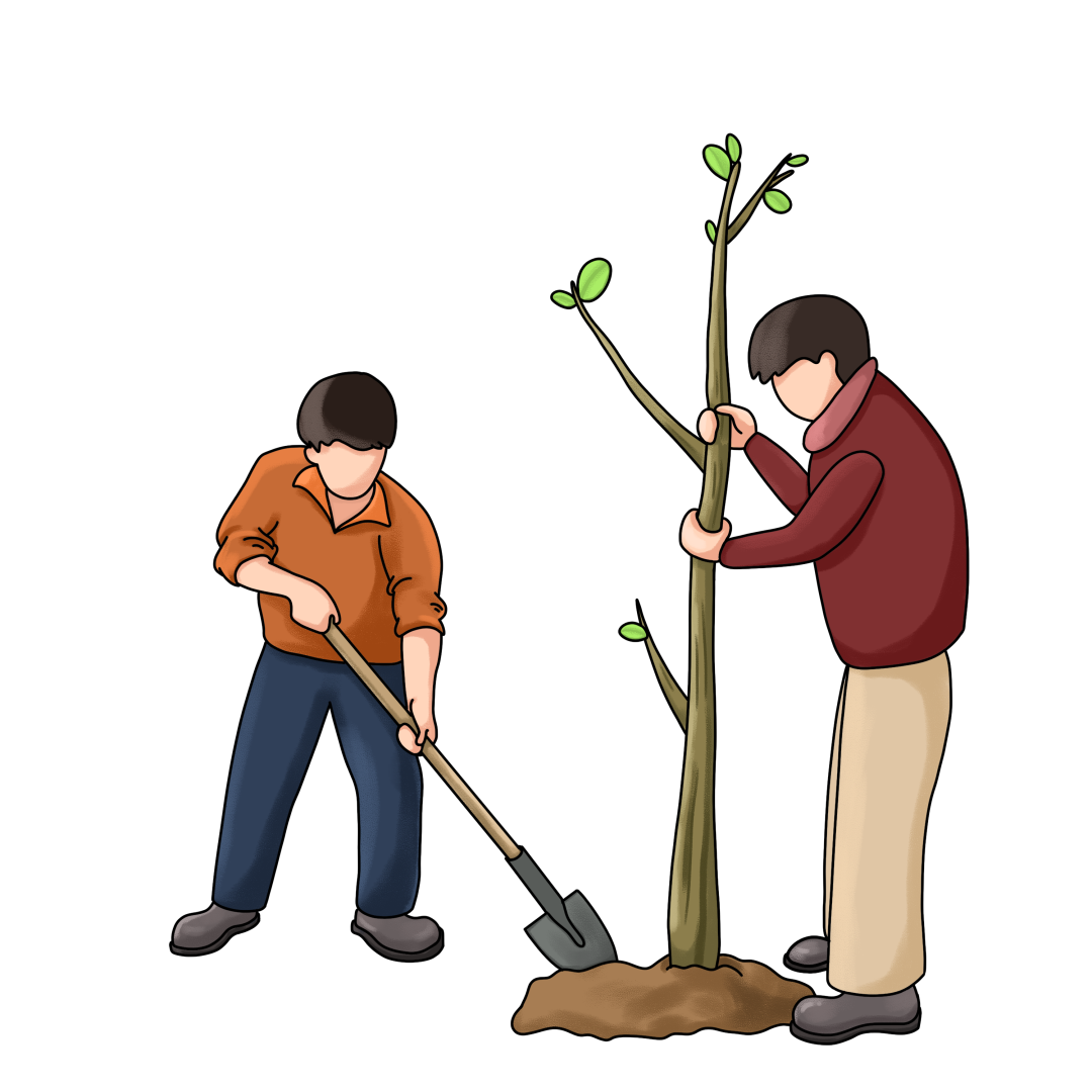 市民政发动种爱心树推动共同富裕庆党百年华诞