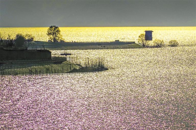 夕阳下，东干码头如同玫瑰海。本版照片均为掌上兰州&middot;兰州晨报首席记者田蹊摄