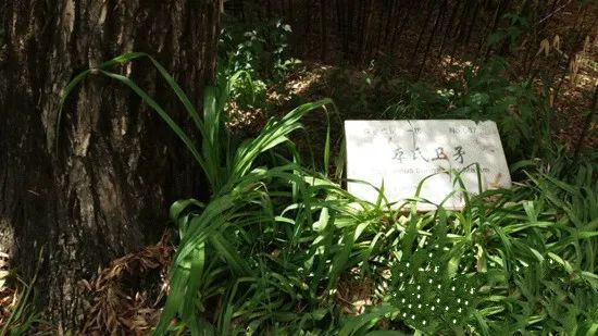 深山藏古寺 杜甫曾在这块宝地赋诗