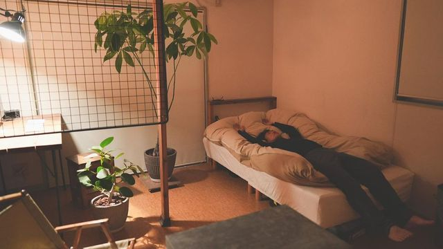 英国猎狐犬 俄罗斯天气