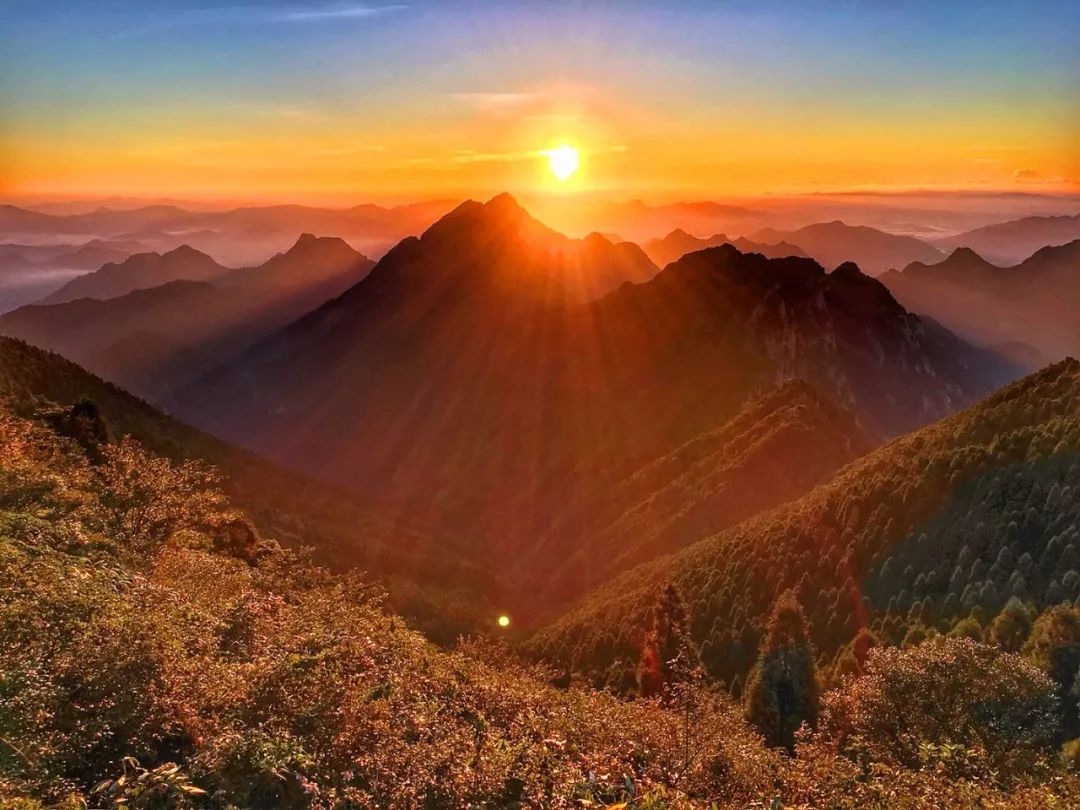 浙南最不容错过的自驾线路，包揽世界级山海景观，还藏了个“最美桃花源”！